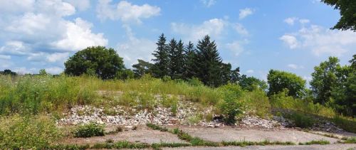The former Sharbot Lake Public School site has been reduced to a weed covered pile of rubble, and county officials want to know what the public at large would like to see happen on the 0.8 hectare property in the middle of the Hamlet of Sharbot Lake.